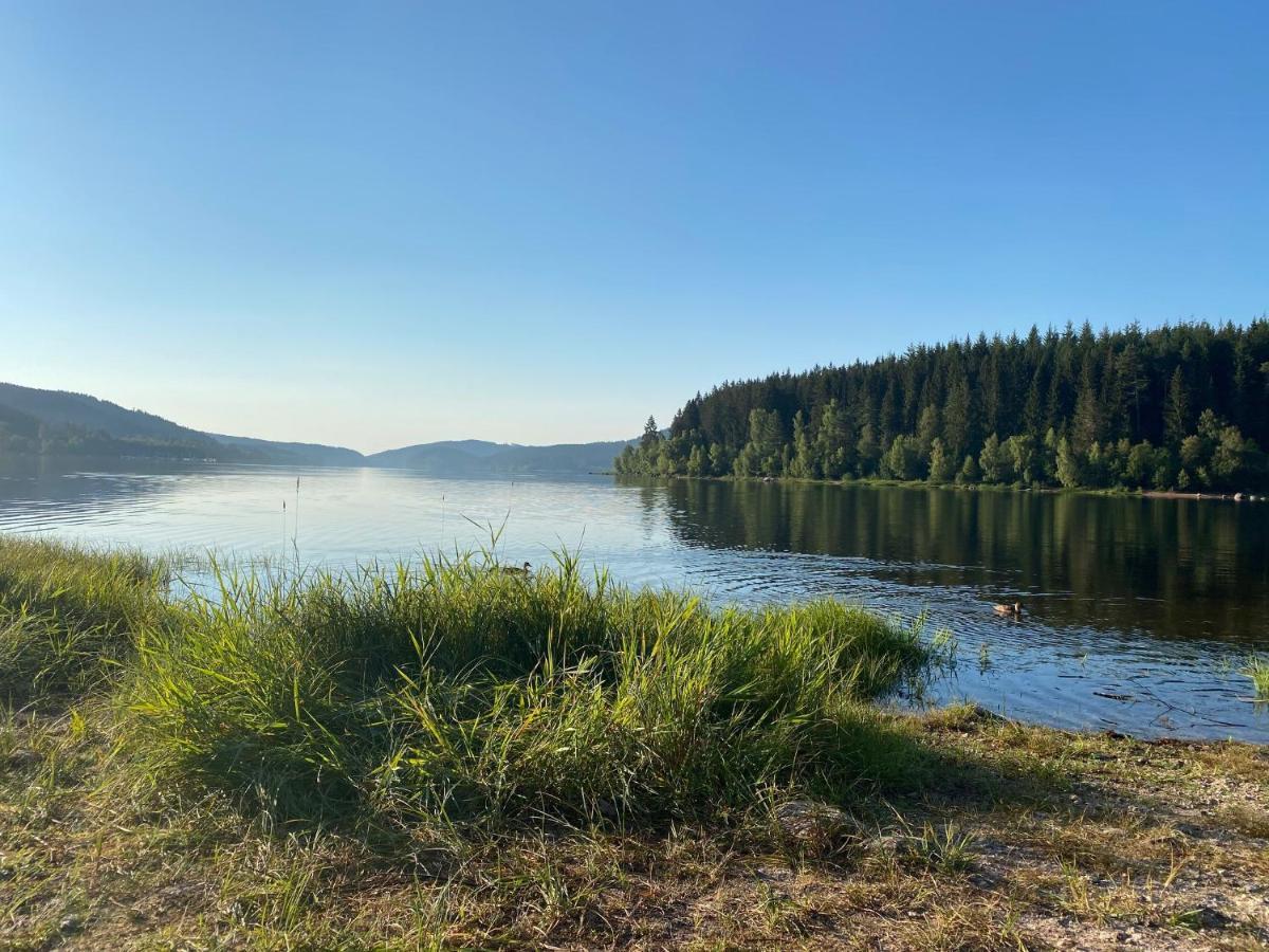 Sporthostel Roessle Schluchsee Eksteriør billede