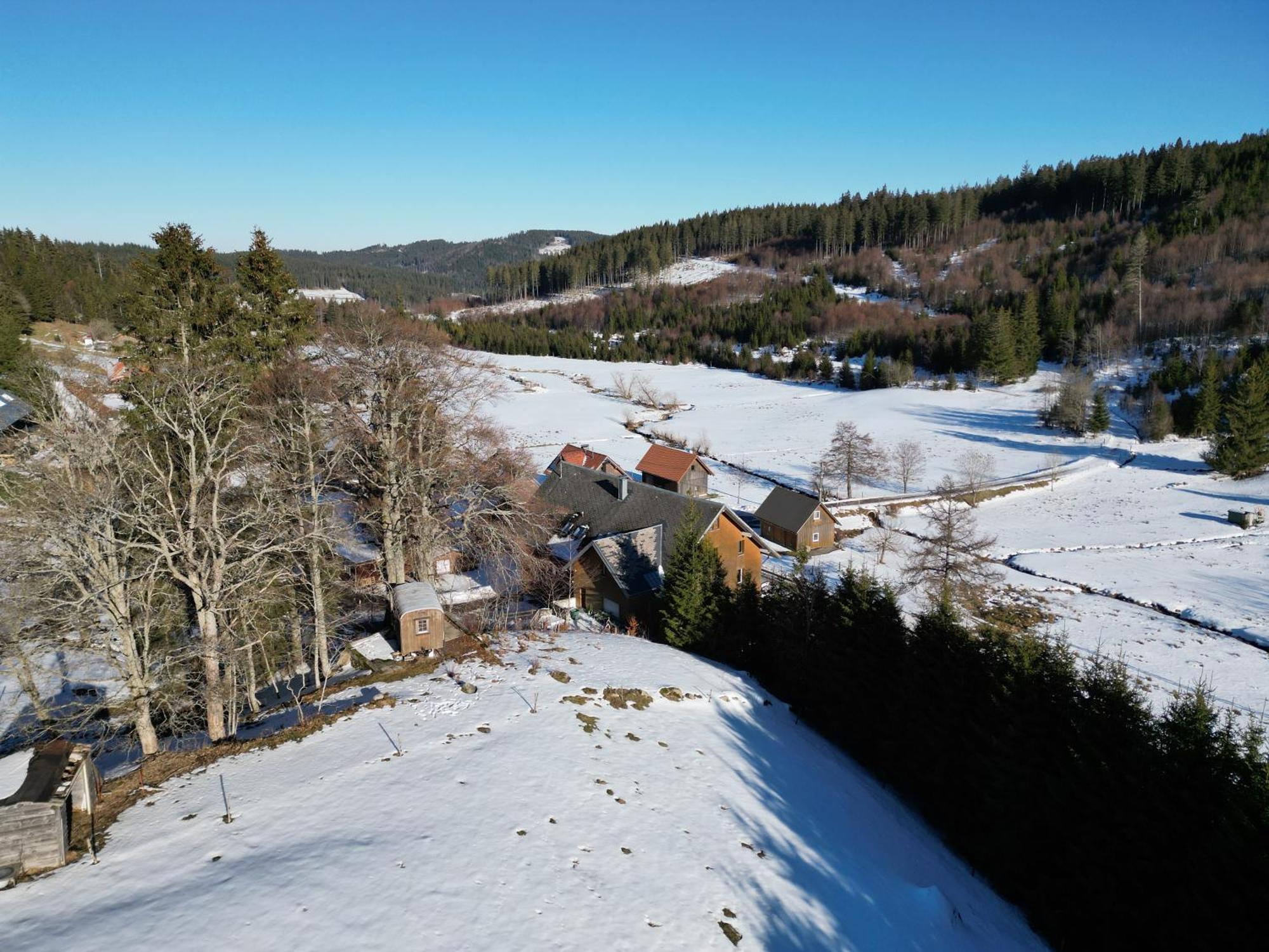 Sporthostel Roessle Schluchsee Eksteriør billede